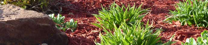 Landscape Mulch